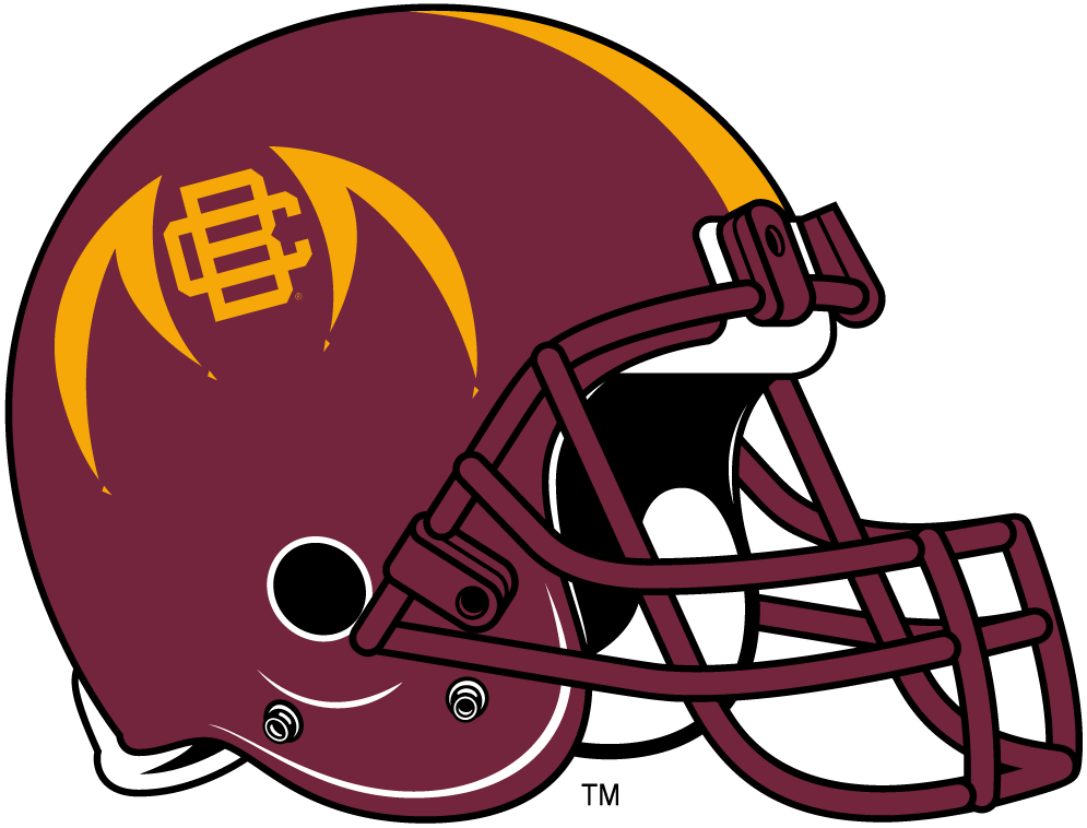 Bethune-Cookman Wildcats 2010-2015 Helmet Logo v2 diy DTF decal sticker